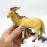 Bộ đồ chơi các loài thú rừng 8 con bằng nhựa Animal Set