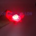 Đồ chơi rùa đèn NHỎ bằng nhựa chạy bằng dây cót 209-1