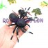 Bộ đồ chơi 8 loài côn trùng bằng nhựa Insect SET 929-79