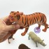 Bộ 4 con thú rừng đại: cọp, sư tử, gấu, tê giác Animal Kingdom