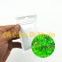 Hạt giống thủy sinh cỏ Trân Châu Nhật