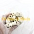 Sứ lọc nước bể cá vật liệu lọc hồ cá cảnh túi 200g