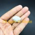 Seachem Matrix 100G (125ML) - Vật liệu lọc cao cấp cho hồ cá cảnh