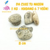 Đá cuội tự nhiên 1KG size To trang trí hồ cá cảnh