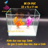 Bể kính đúc mini để bàn 2 cạnh uốn cong, hồ nuôi cá size 22x15x17 cm