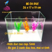 Bể kính đúc mini để bàn 2 cạnh uốn cong, hồ nuôi cá size 26x17x19 cm