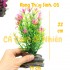 Mô hình cây rong ĐẾ ĐÁ Thủy Sinh 21 cm trang trí hồ cá cảnh nhiều mẫu