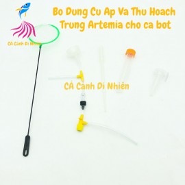 Bộ dụng cụ ấp và thu hoạch nở trứng Artemia làm thức ăn cho cá bột