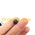 Tảo viên xoắn - Thức Ăn Nuôi Artemia Cá Tép Cảnh hũ 50 gram