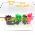 Hồ kính đúc nuôi cá thủy sinh 2 cạnh uốn cong bể size 50x33x35 cm
