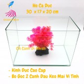 Hồ kính đúc nuôi cá thủy sinh 2 cạnh uốn cong bể size 30x17x20 cm