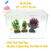 Hồ kính đúc nuôi cá thủy sinh 2 cạnh uốn cong bể size 40x23x25 cm