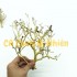 Lũa Xương Chùm Nhánh - Dùng Làm Tán Bonsai Trong Bể Thủy Sinh