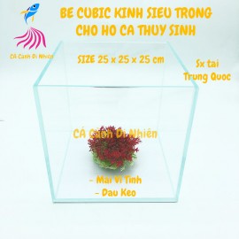 Bể cubic 25x25x25 cm kính siêu trong - Hô nuôi cá thủy sinh