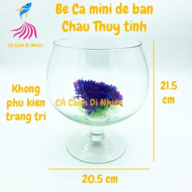 Chậu thủy tinh, bể cá mini để bàn CHÂN LY size 20 x 21.5 cm LC02
