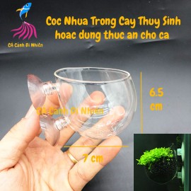 Cốc nhựa có giác hút trồng cây thủy sinh trên thành kính hồ cá