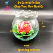 Chậu thủy tinh, bể cá mini để bàn tròn tai bèo size 11 x 10 cm HB4