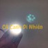 Đèn LED XIMA 3W màu trắng kẹp thành hồ cá size 15-40 cm Mini-3B