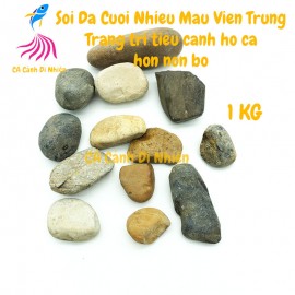 Sỏi đá cuội 1KG nhiều màu viên trung trang trí tiểu cảnh hòn non bộ