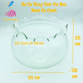 Chậu thủy tinh, hồ cá để bàn tròn tai bèo size 30x28x20 cm HB-D