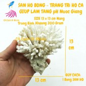 San Hô Bông trang trí hồ cá nước mặn bể thủy sinh size 13 cm