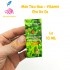 Men tiêu hóa KOIKA-BAC M kết hợp Vitamin cho hồ cá 10ML