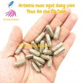 Artemia nước ngọt dạng viên nhộng thức ăn cho cá bột