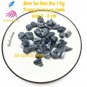 Bịch sỏi ĐEN ĐẠI 1 KG size 2 - 3 CM trang trí hồ cá cảnh